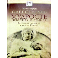 Мудрость Небесна та земної. Протоієрей Олег Стеняїв.