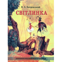 Світлинка  В.А. Бахревський