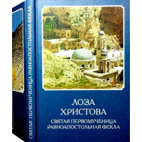 Лоза Христова. Свята першомучениця рівноапостольна Фекла